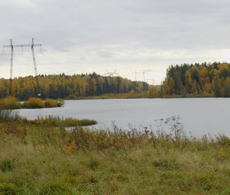 Погода боровково ногинский